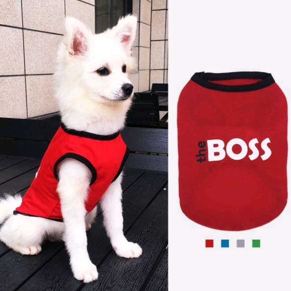 The Boss Cute Red/Black/White Pet Shirt for Dogs - Picture 2 of 3